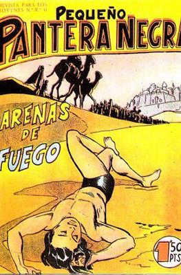 Pantera Negra / Pequeño Pantera Negra #87