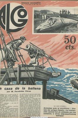 Algo #184