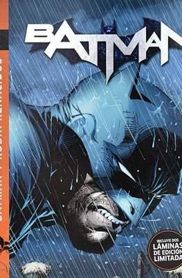Batman: La historia visual (Cartoné) #7