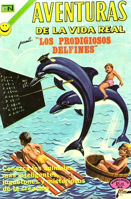 Aventuras de la vida real #204