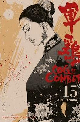 Coq de combat #15
