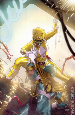 Mighty Morphin Power Rangers (Variant Cover) #112.3
