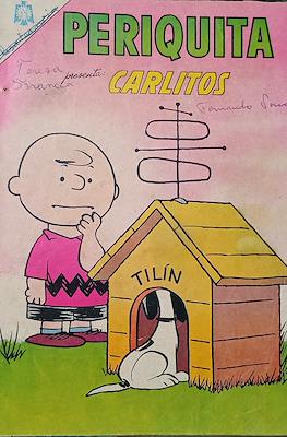 Periquita #61
