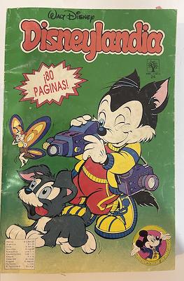Disneylandia (Rústica) #24
