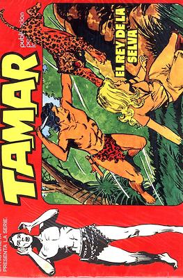 Tamar, La Historieta presenta la serie #7