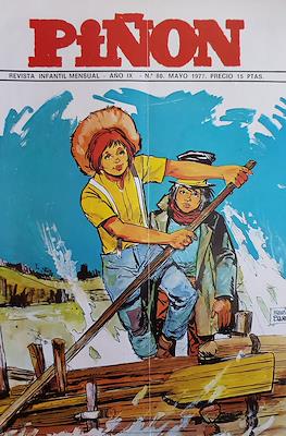 Piñón #80
