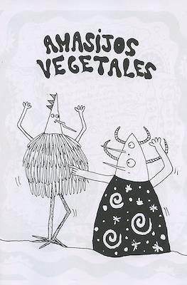 Amasijos vegetales