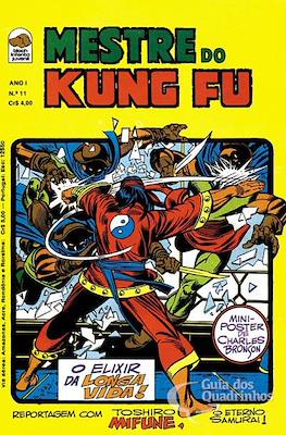 Mestre do Kung Fu #11