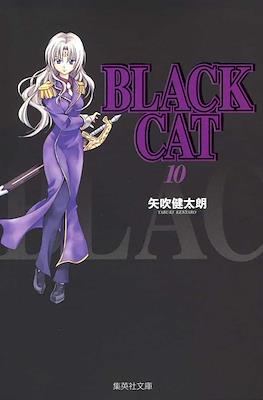 Black Cat #10