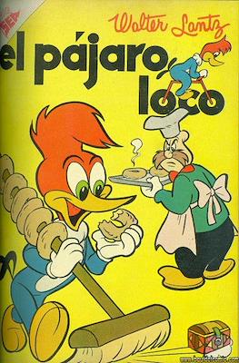 El pájaro loco #77