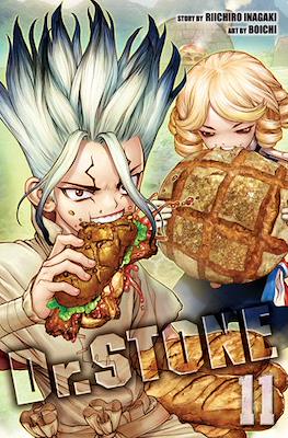 Dr. Stone (Softcover) #11