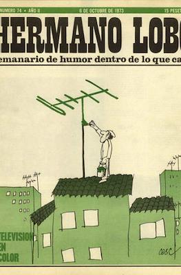 Hermano Lobo #74