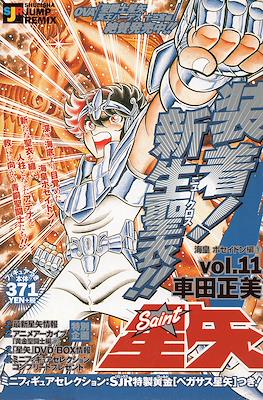 聖闘士星矢 (Saint Seiya Shueisha Remix) (Edición 2002-2004) #11