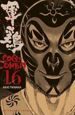 Coq de combat #16
