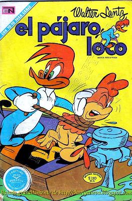 El pájaro loco #365