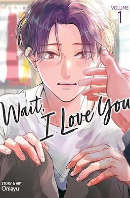 Wait, I Love You