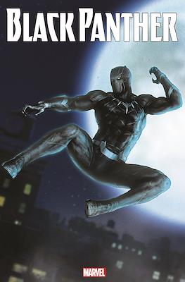 Black Panther (2018)