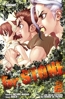 Dr. Stone #2