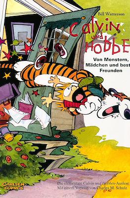 Calvin und Hobbes: Sammelband #1