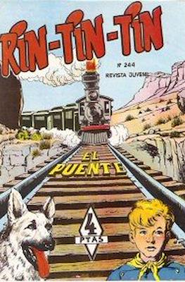 Rin-tin-tin / Davy y su fiel Roy #244