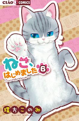ねこ、はじめました～ニャンとも気になるニャオ～(Neko, hajimemashita: Nyantomo Ki ni naru Nyao) #6