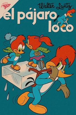 El pájaro loco #172