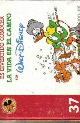 Es divertido conocer con Walt Disney #37
