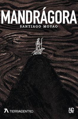 Mandrágora