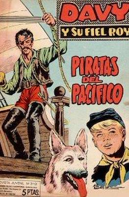 Rin-tin-tin / Davy y su fiel Roy #313