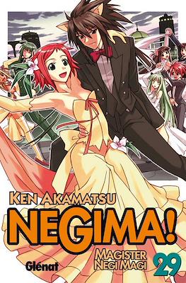 Negima! Magister Negi Magi (Rústica) #29