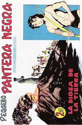 Pantera Negra / Pequeño Pantera Negra #307