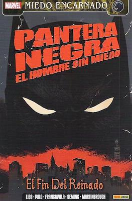 Pantera Negra: El hombre sin miedo (2012) #2