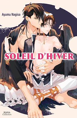 Soleil d'hiver