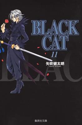 Black Cat #11