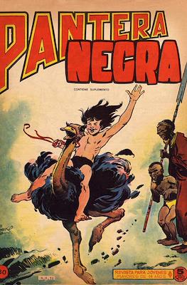 Pantera Negra #30
