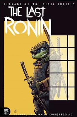 Teenage Mutant Ninja Turtles: The Last Ronin (Variant Cover) (Comic Book) #1.15