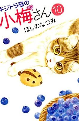 キジトラ猫の小梅さん 虎斑猫小梅 (Kijitora Neko no Koume-san) #10
