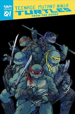 Teenage Mutant Ninja Turtles: Reborn #1
