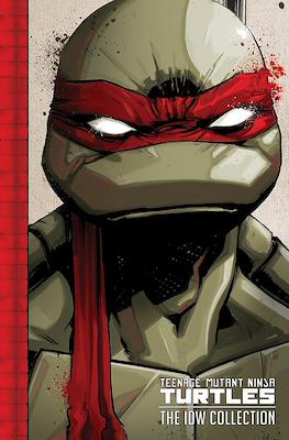 Teenage Mutant Ninja Turtles: The IDW Collection #1
