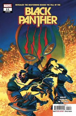 Black Panther Vol. 8 (2021-2023) (Comic Book) #11
