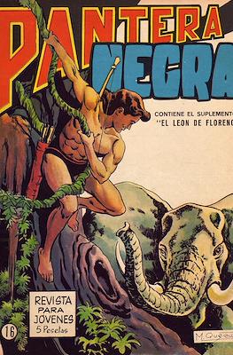 Pantera Negra #16