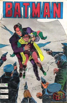 Batman Vol. 1 (1987-2002) (Grapa) #17