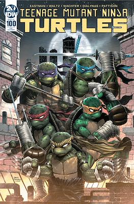 Teenage Mutant Ninja Turtles (2011-...Variant Covers) #100.13