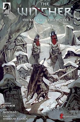 The Witcher: The Ballad of Two Wolves (Variant Cover) #1.1