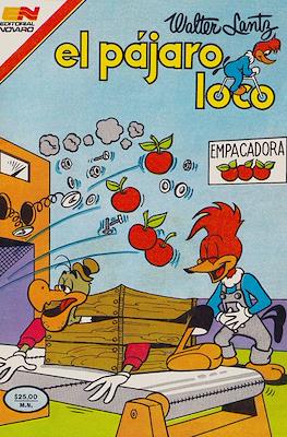 El pájaro loco #743
