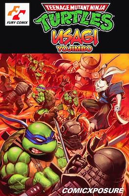 Teenage Mutant Ninja Turtles/Usagi Yojimbo - Wherewhen (Variant Covers) #1.08