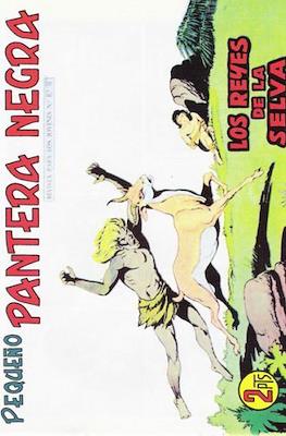 Pantera Negra / Pequeño Pantera Negra #302