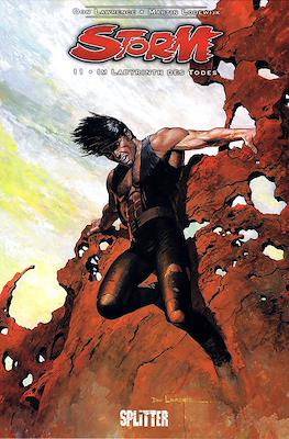 Storm #11