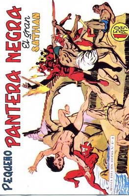 Pantera Negra / Pequeño Pantera Negra #170