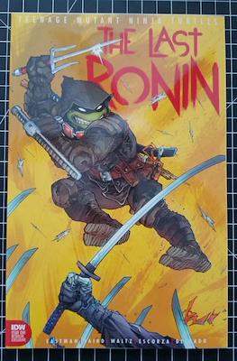 Teenage Mutant Ninja Turtles: The Last Ronin (Variant Cover) (Comic Book) #1.04